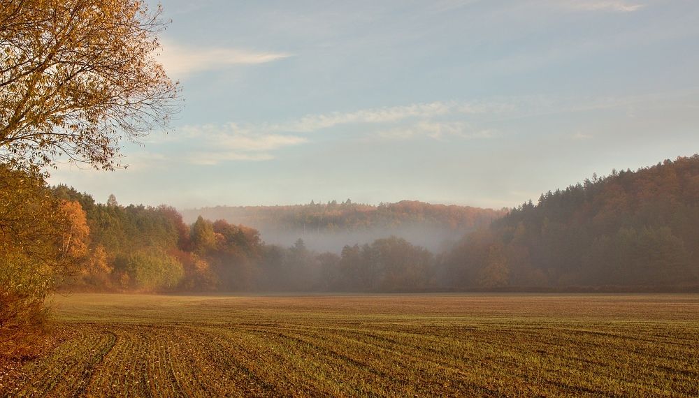 Autumn