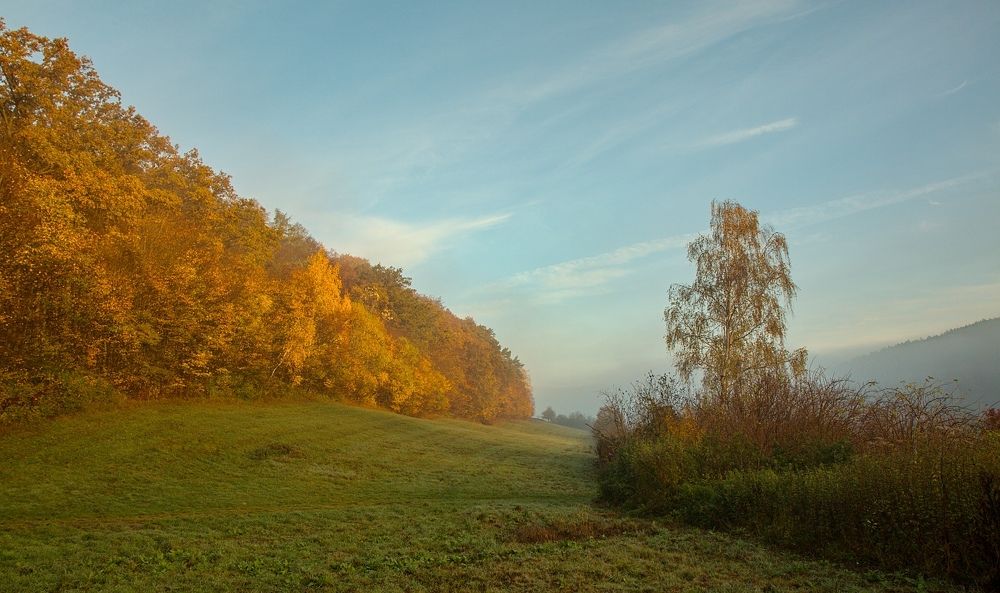 Autumn