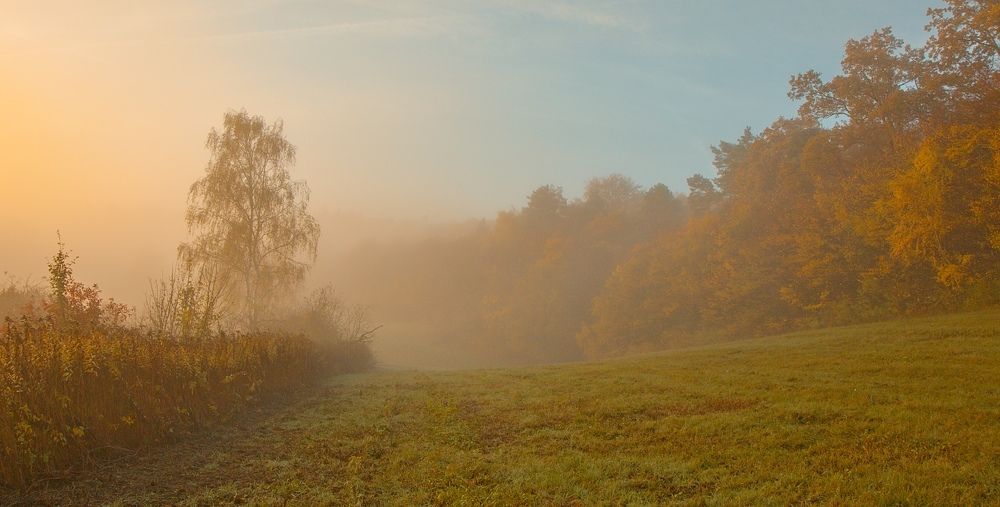 Autumn