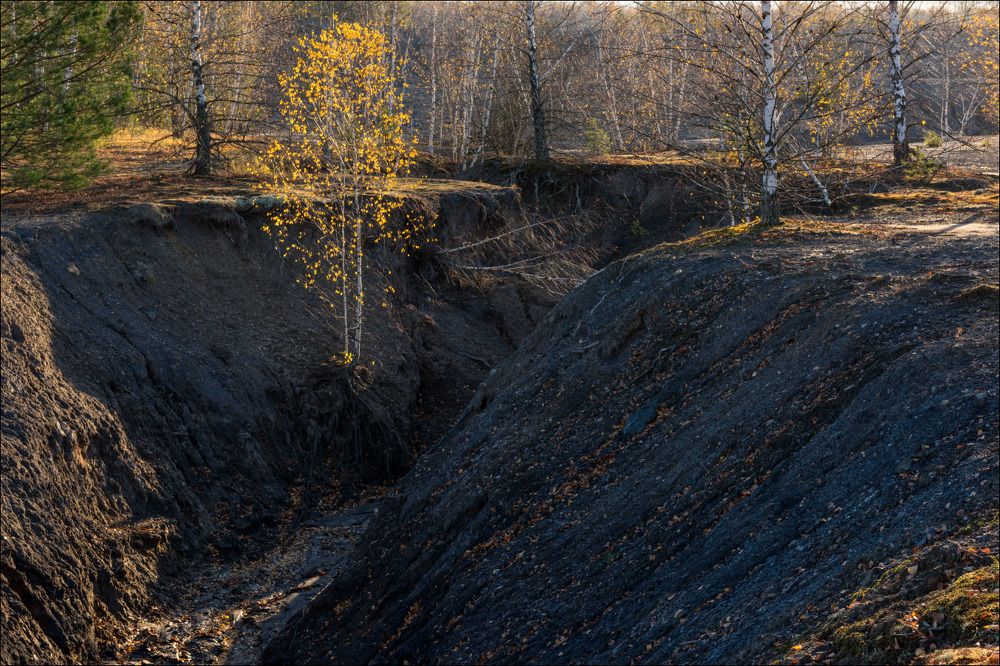 Жизнь в овраге
