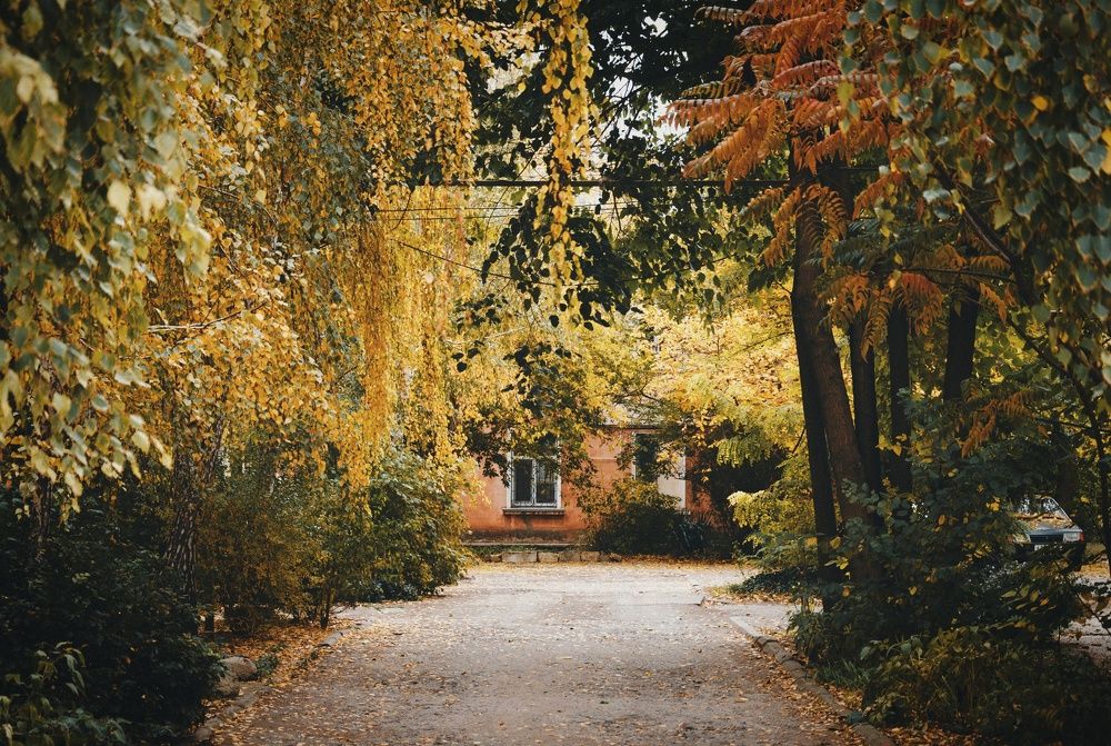 Немного уличной фотографии.