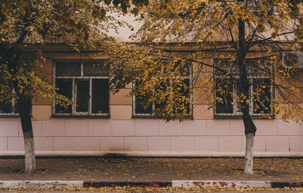 Немного уличной фотографии.