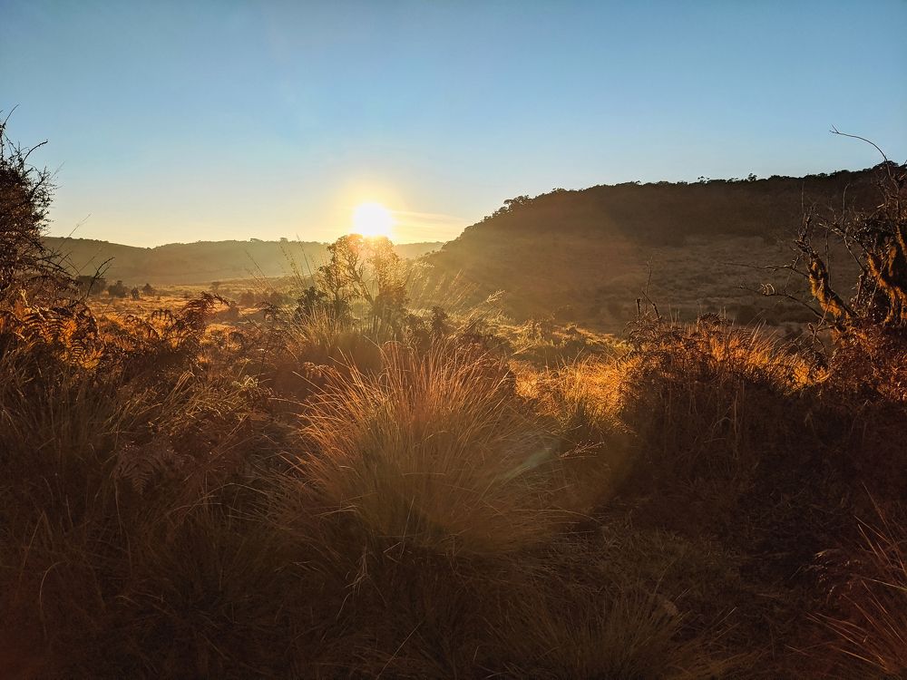 One morning in Horton Plains (mobile photo)
