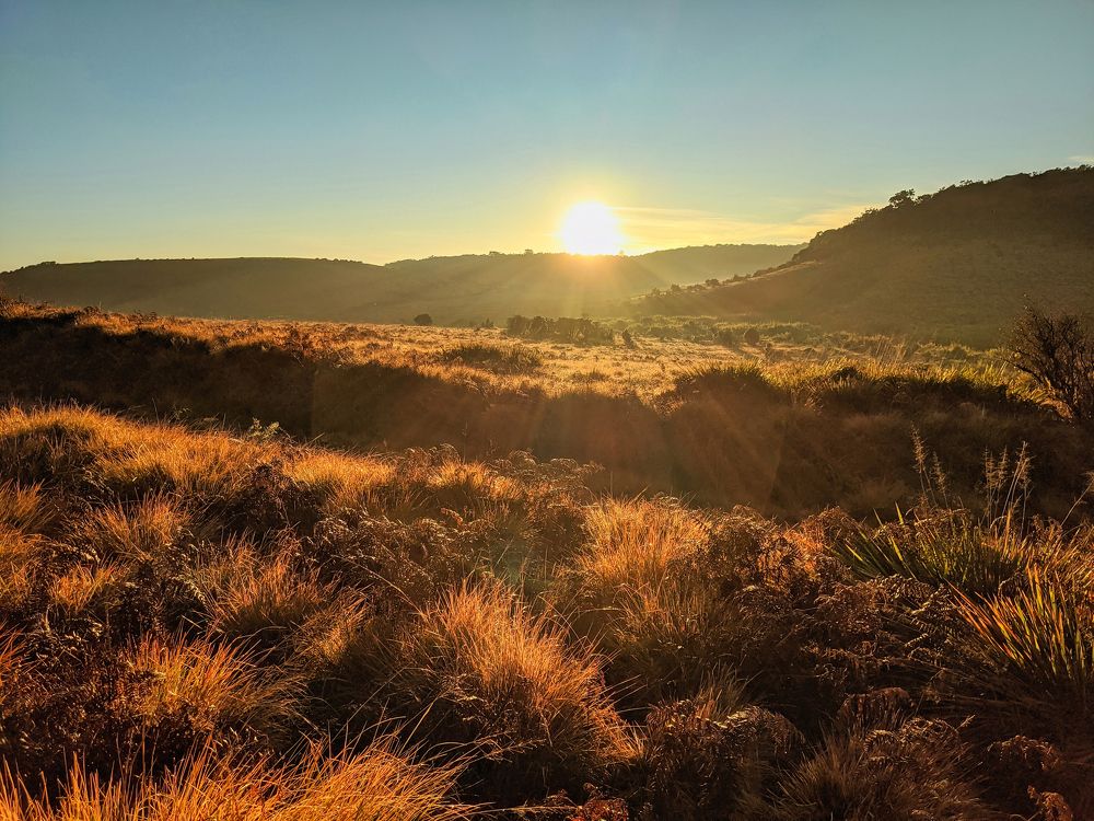 One morning in Horton Plains (mobile photo)