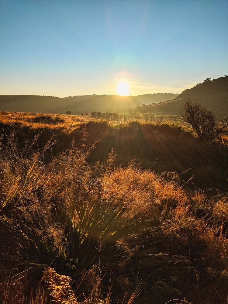 One morning in Horton Plains (mobile photo)
