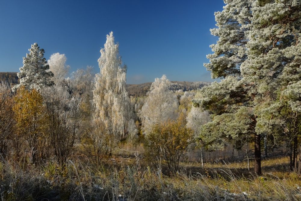 Октябрьское морозное утро