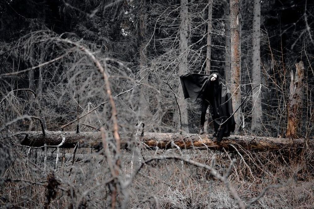 Photo 227362