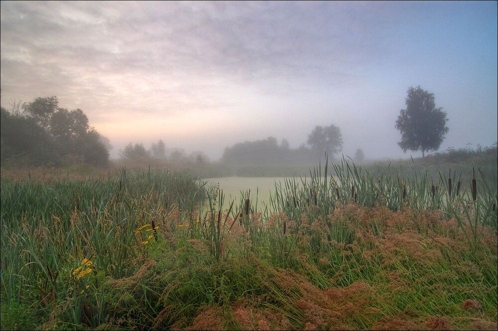 Photo 227880