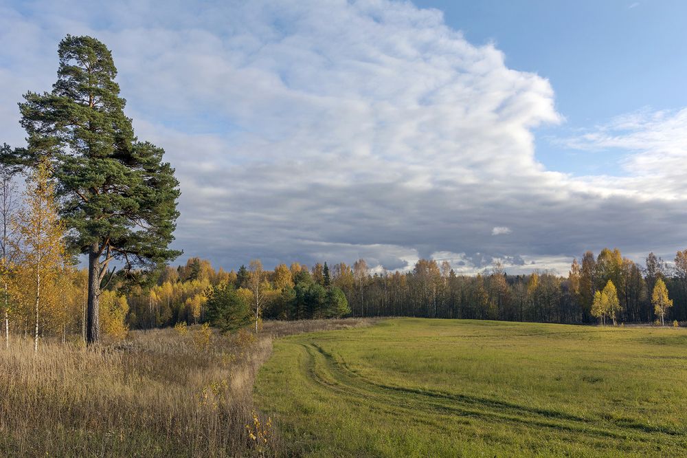 Photo 2270379