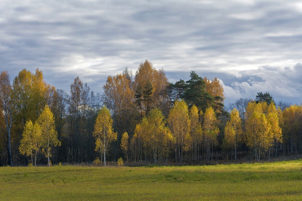 Photo 2270380