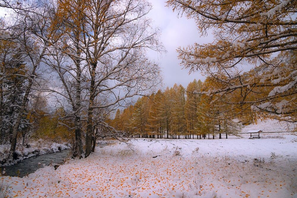 Photo 2271422