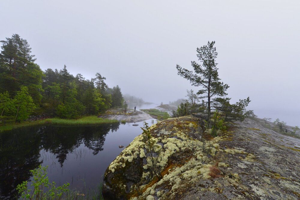 Photo 2271428