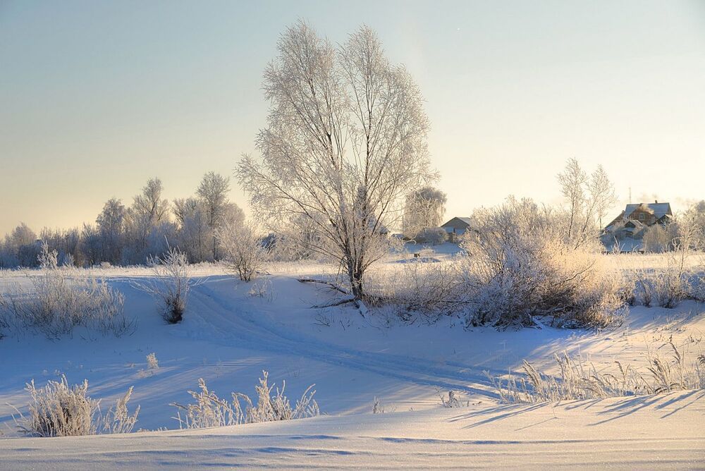 Photo 2271429