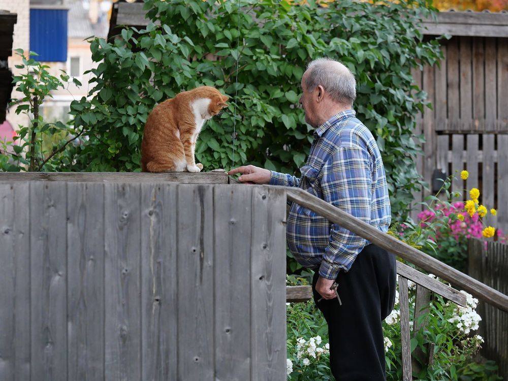 Кенозёрские этюды.