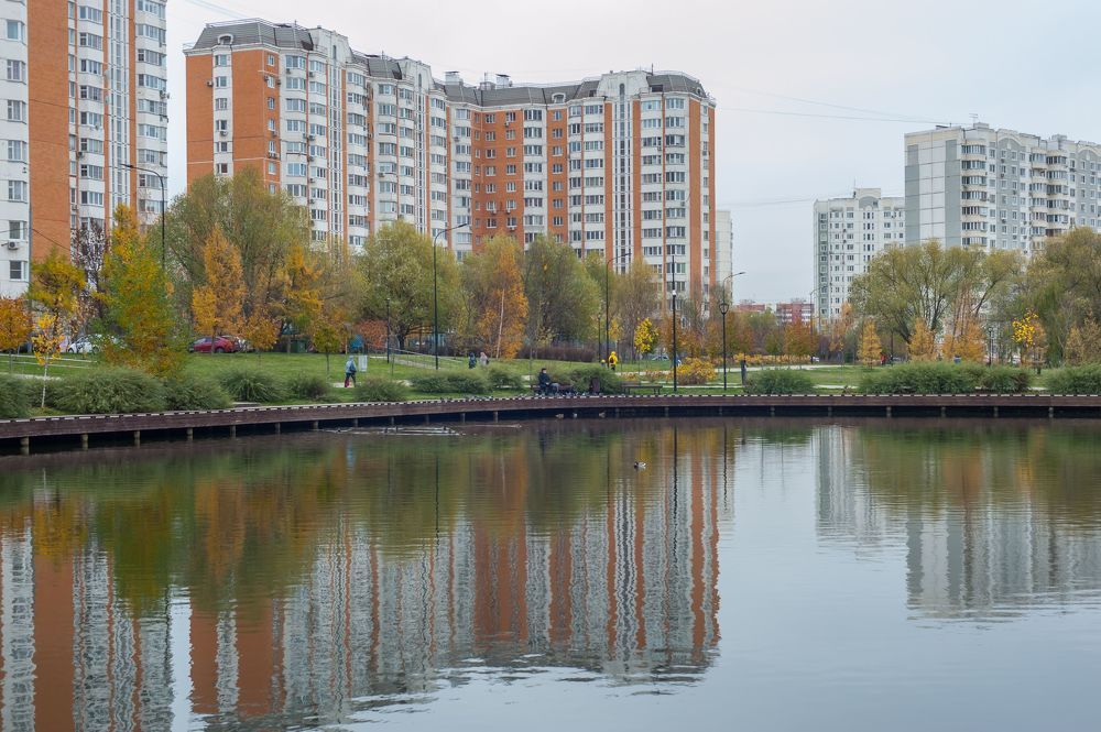 Верхний Гавриковский пруд