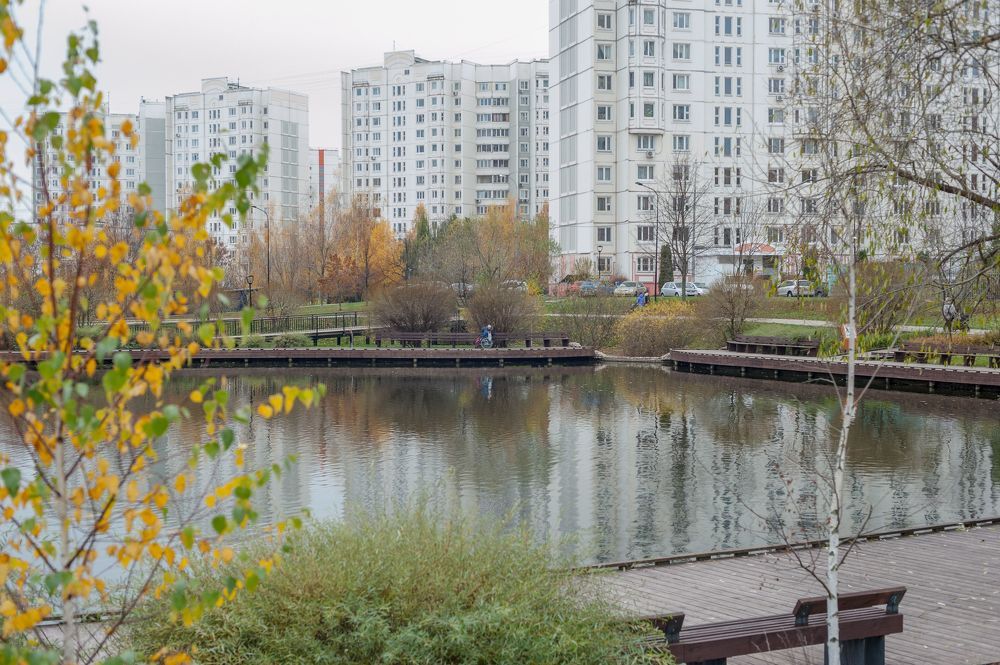 Верхний Гавриковский пруд
