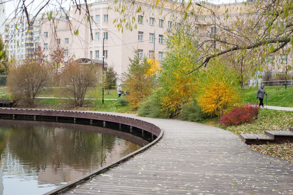 Верхний Гавриковский пруд