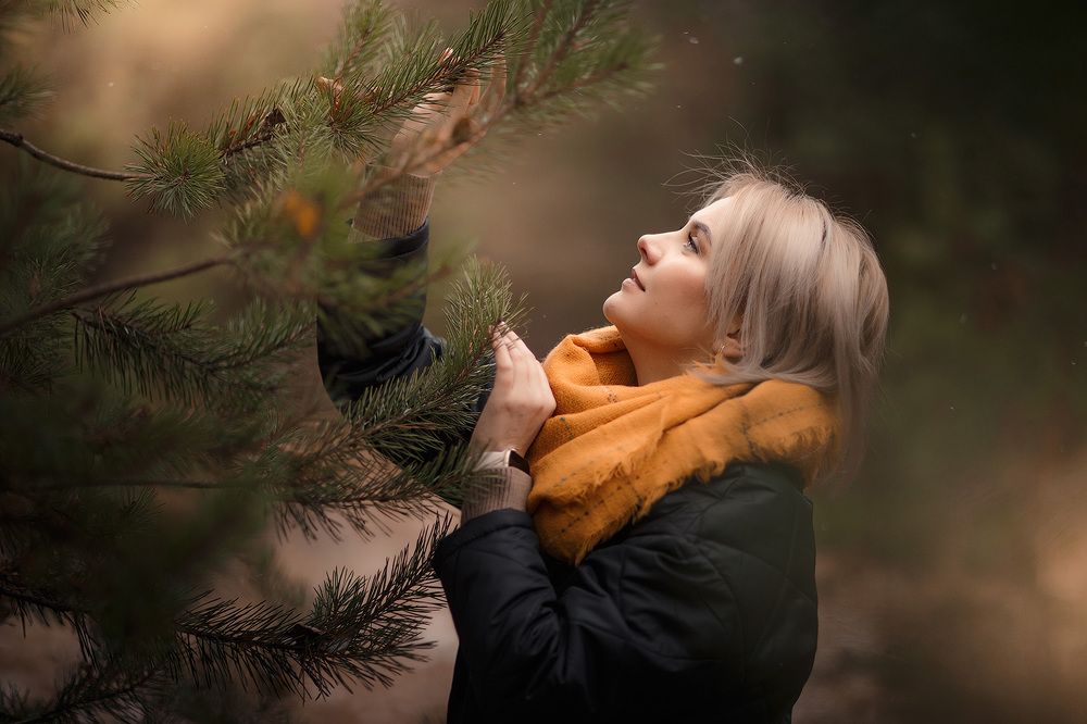 Предзимний лес
