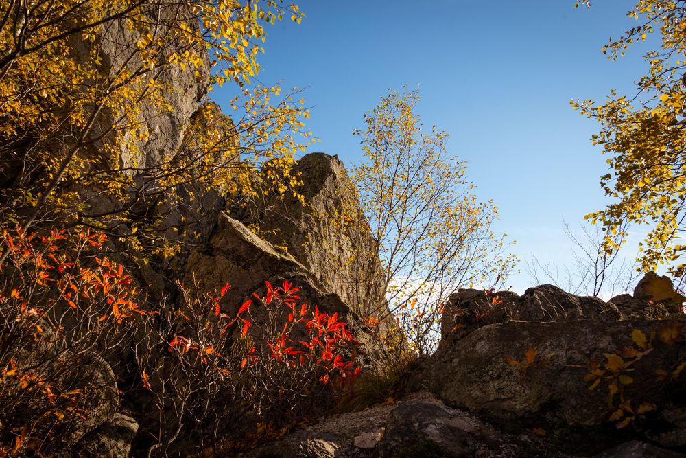 Горная осень