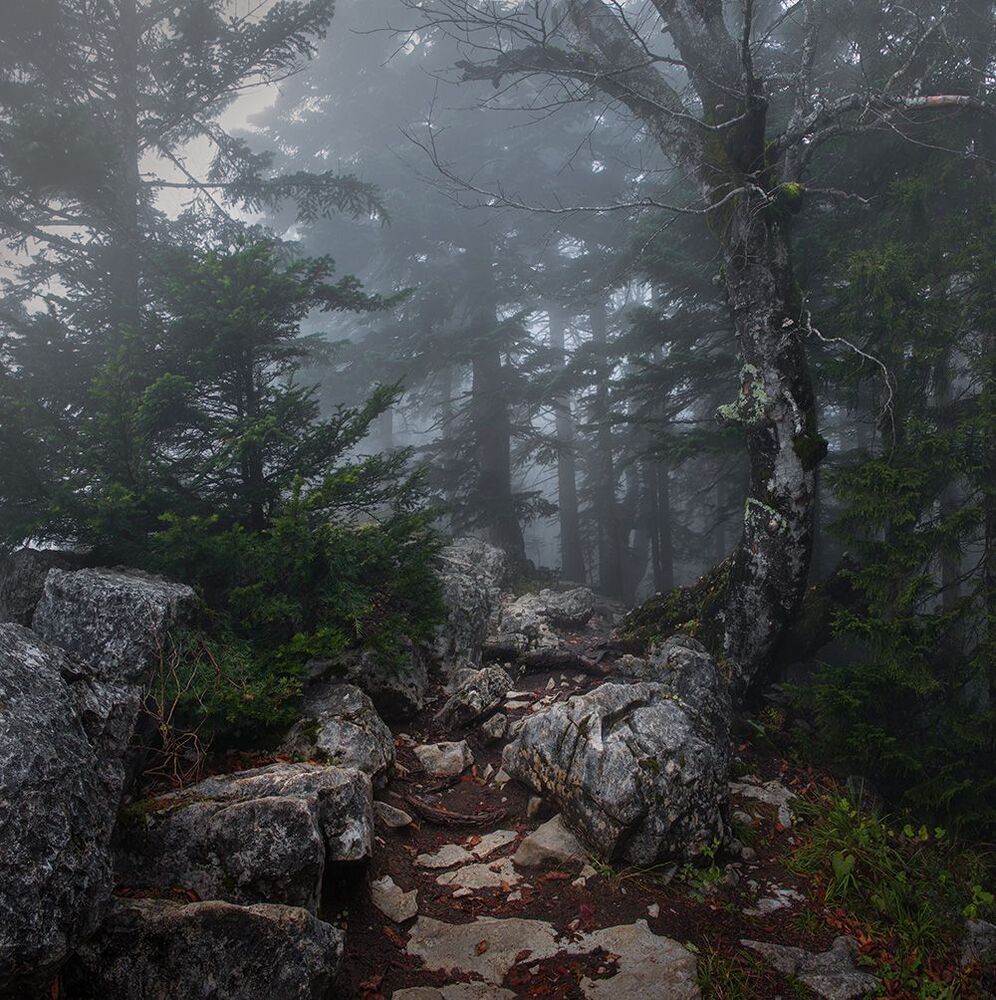 Landscapes of Georgia.