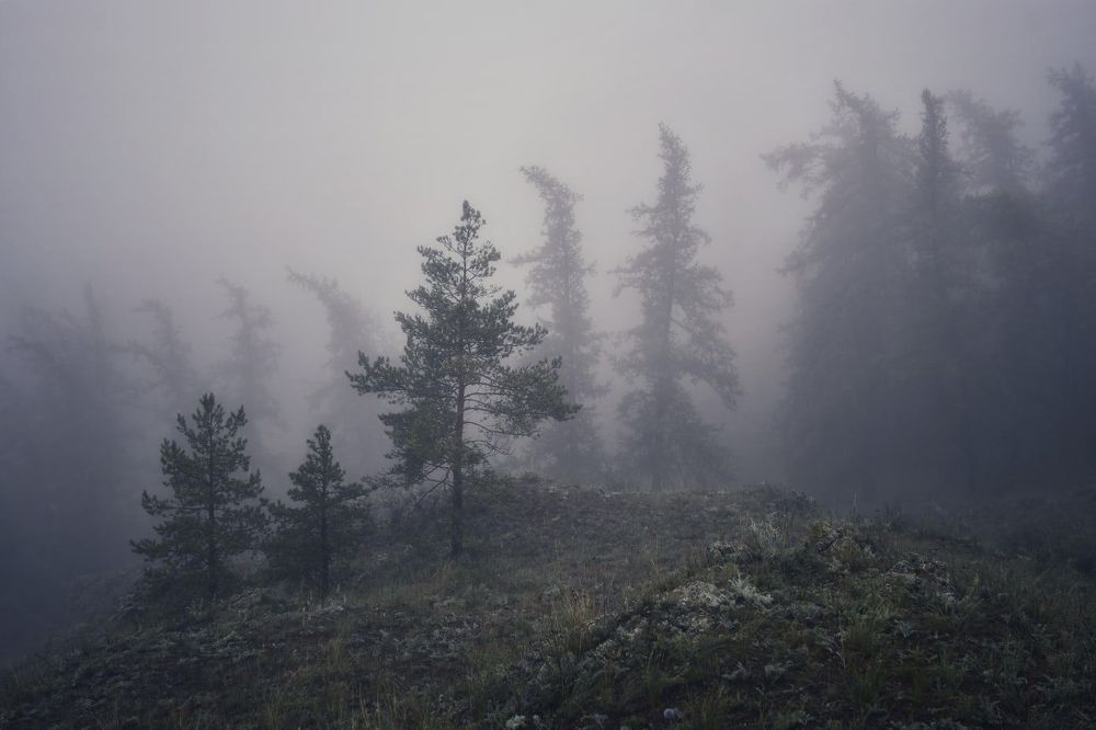Photo 2275216