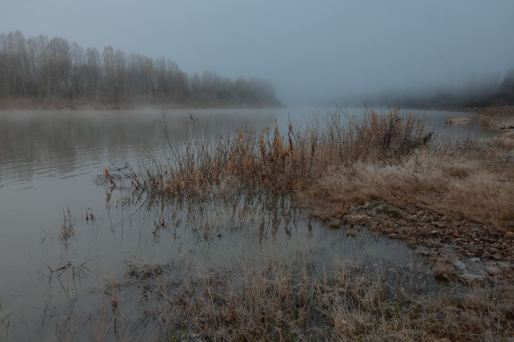Туманное утро на Кондоме