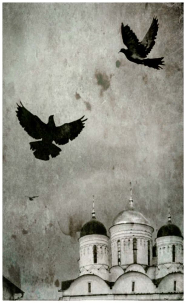 Photo 2275605