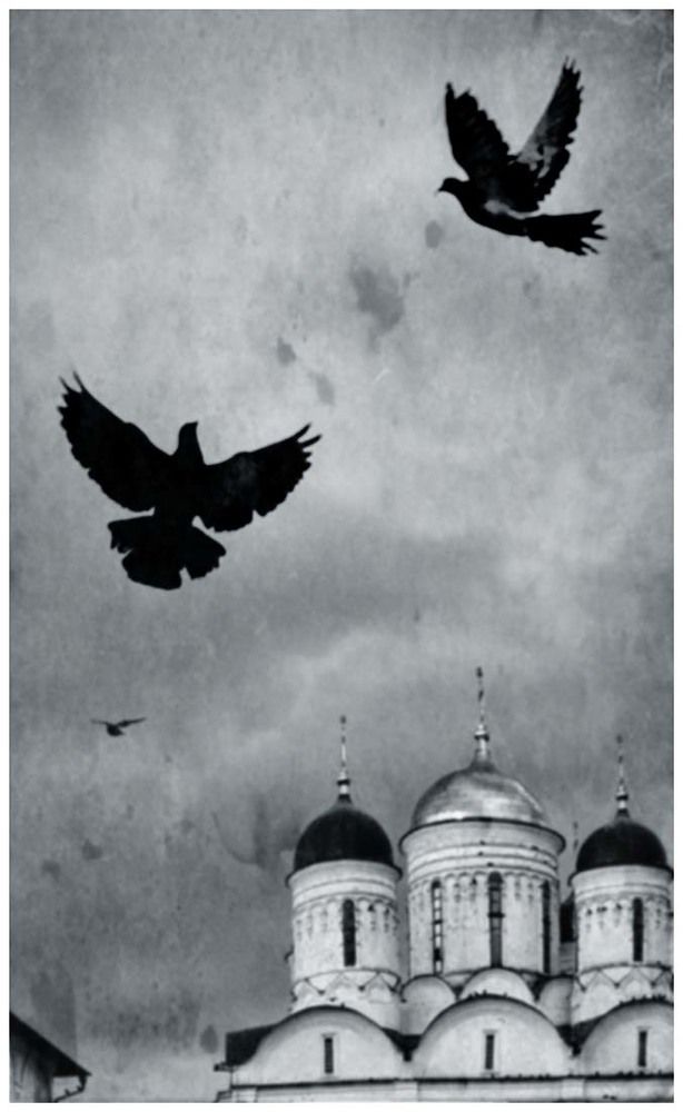 Photo 2275606