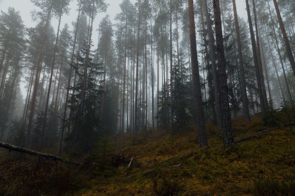 Photo 2277150