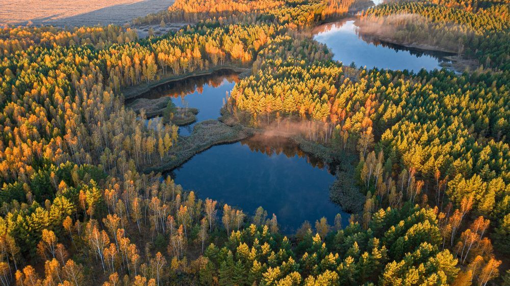 Красоты родной земли