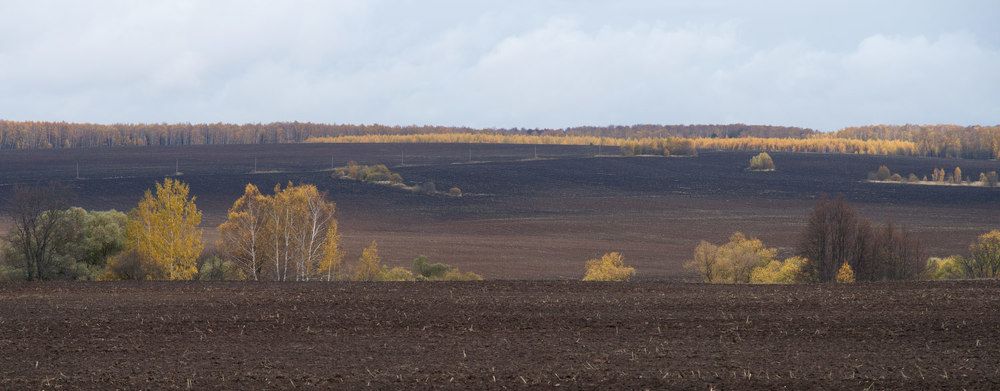 Осень