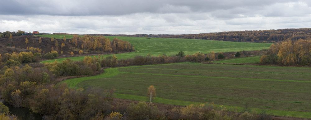 Осень