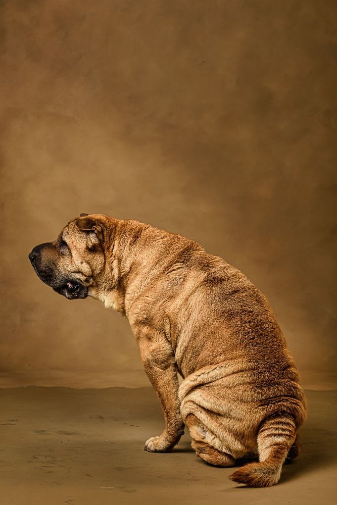 Photo 2278442