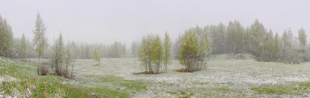 Русские мотивы.