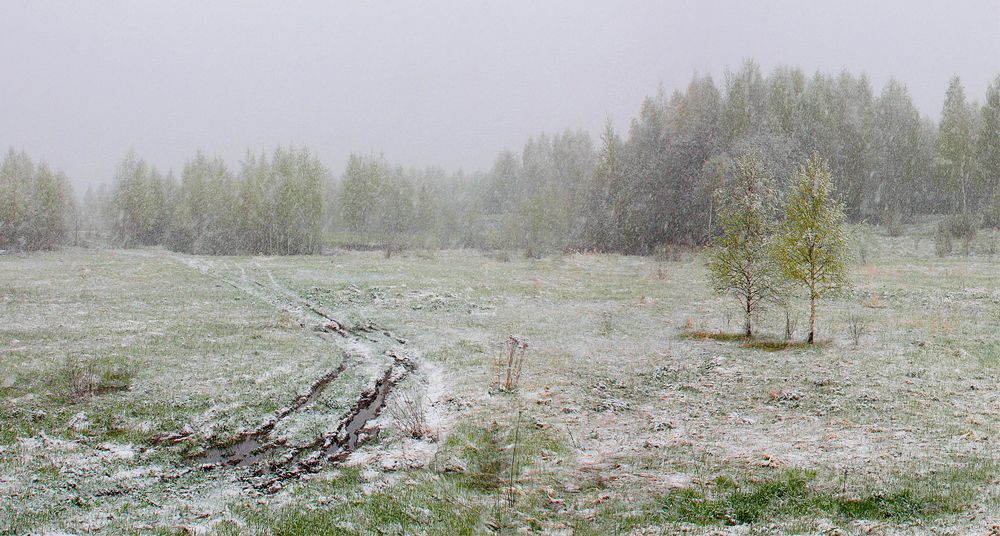 Русские мотивы.