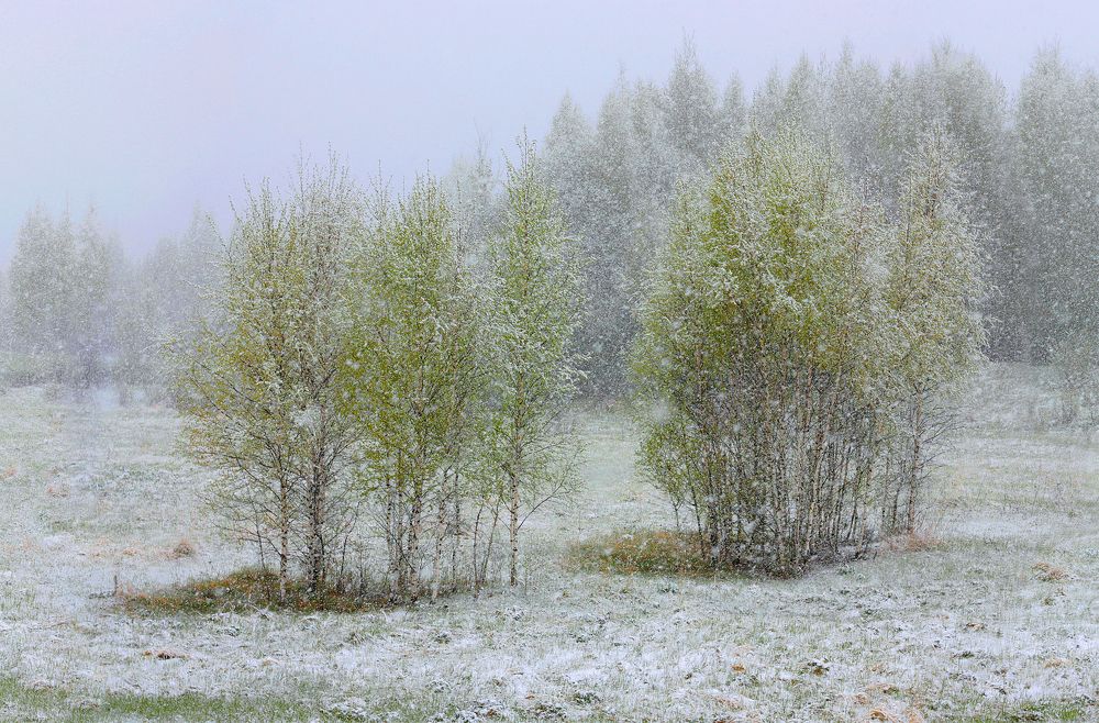 Русские мотивы.