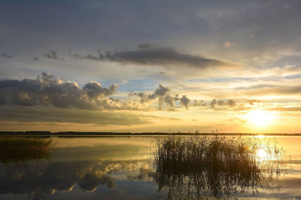 Photo 2279333