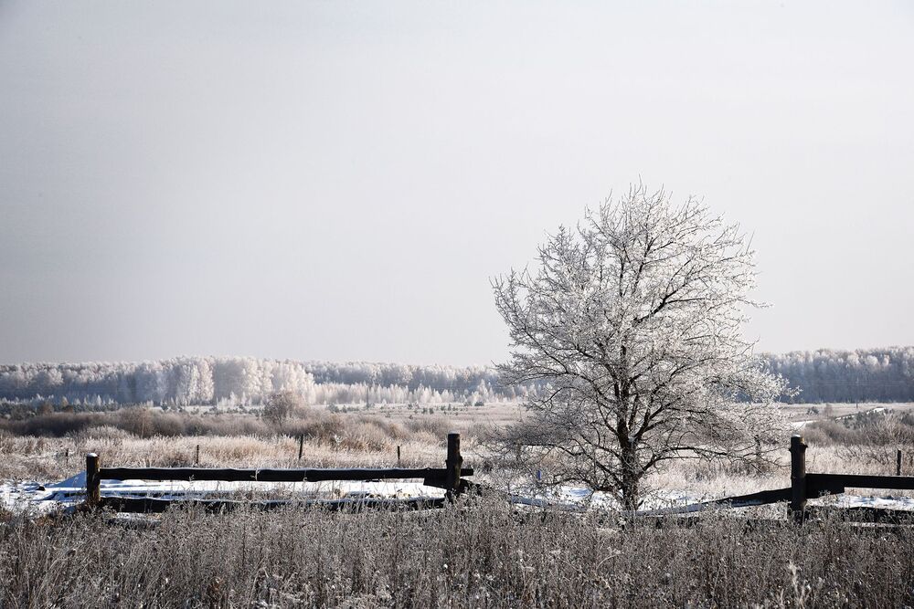 Photo 2279334