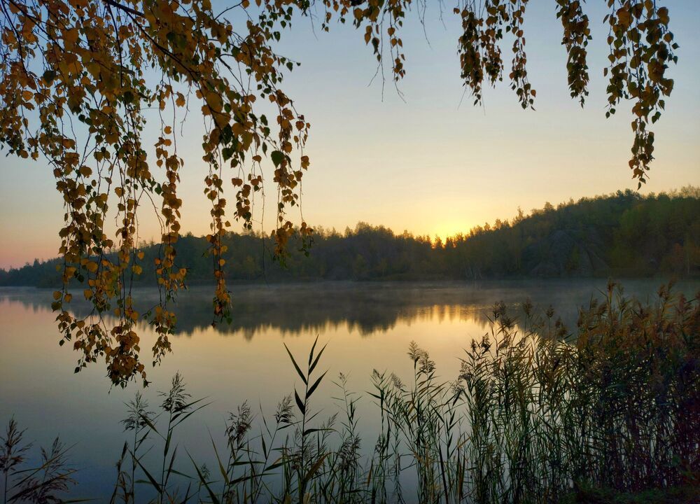 На просторах Родины.