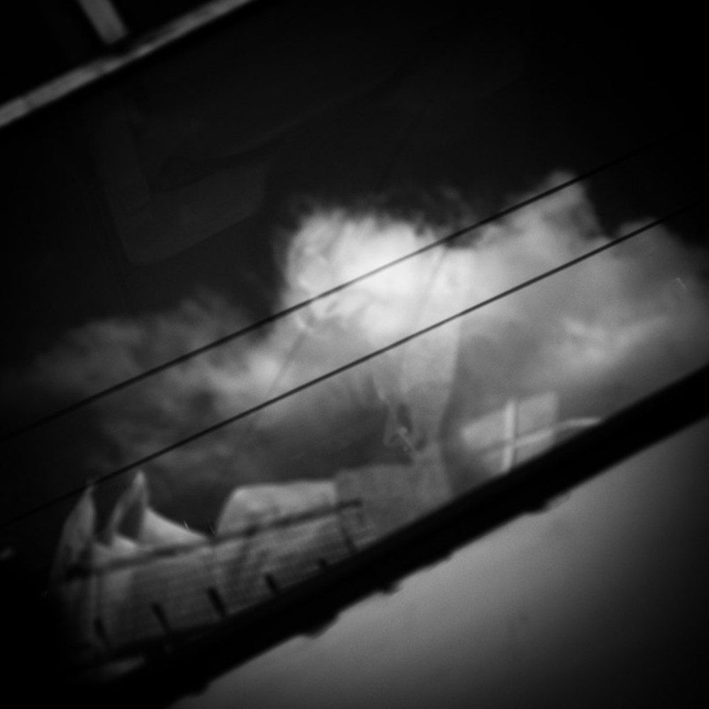 Photo 228544