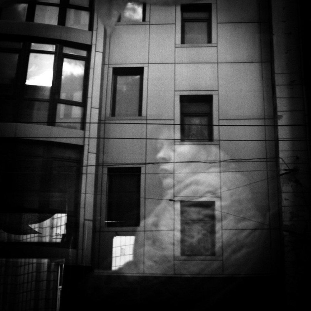 Photo 228548