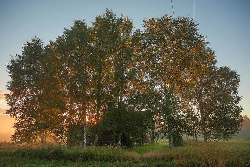 Утро в деревне
