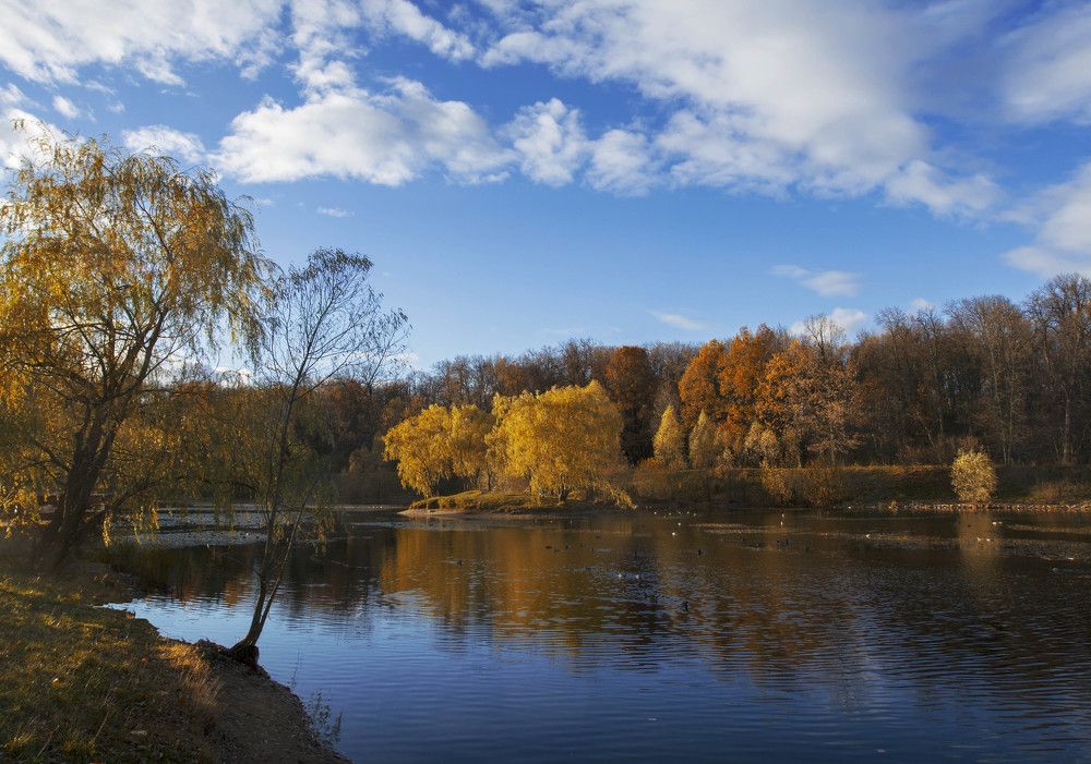 осень