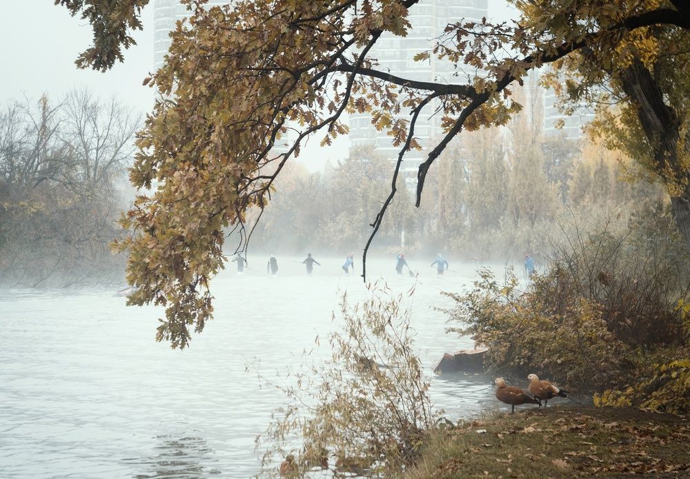 По следам Кубанского тумана.