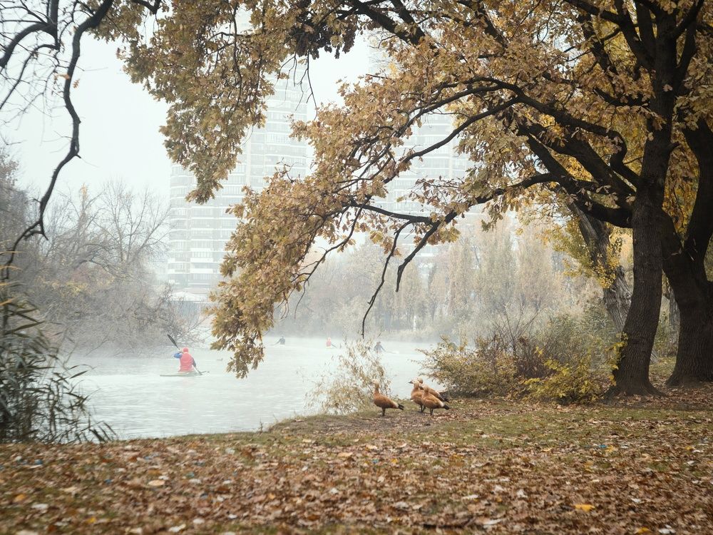 По следам Кубанского тумана.