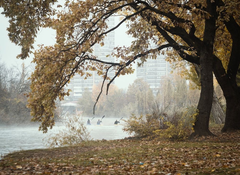 По следам Кубанского тумана.
