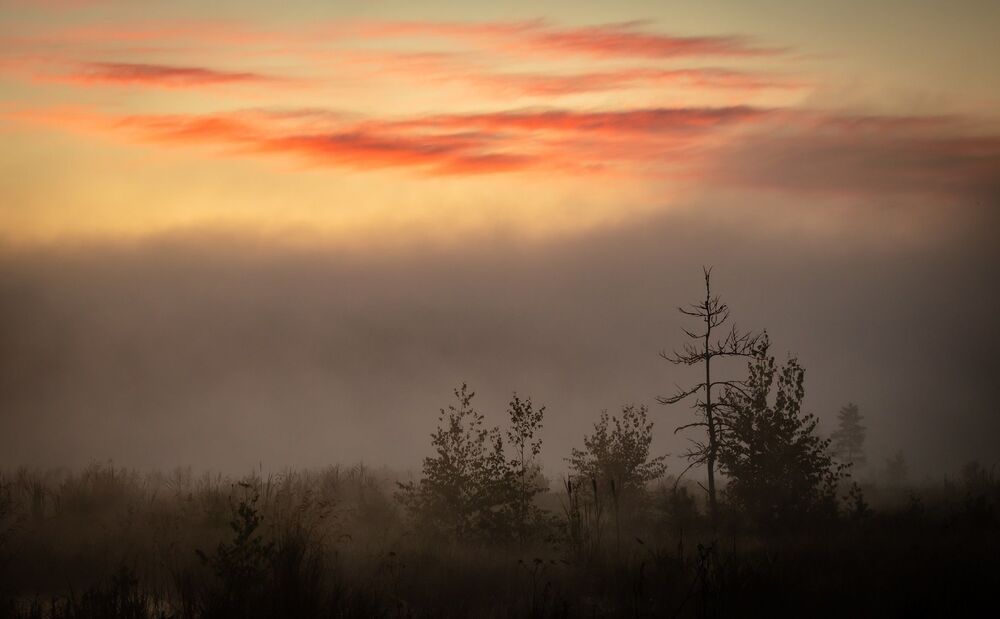 Photo 2282502