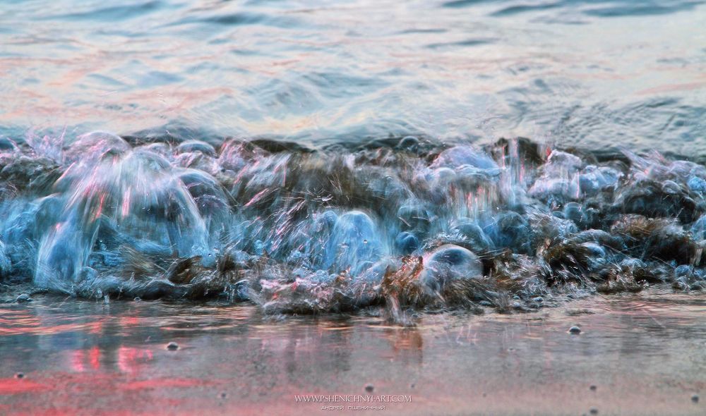 The Wave