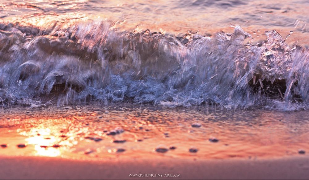 The Wave