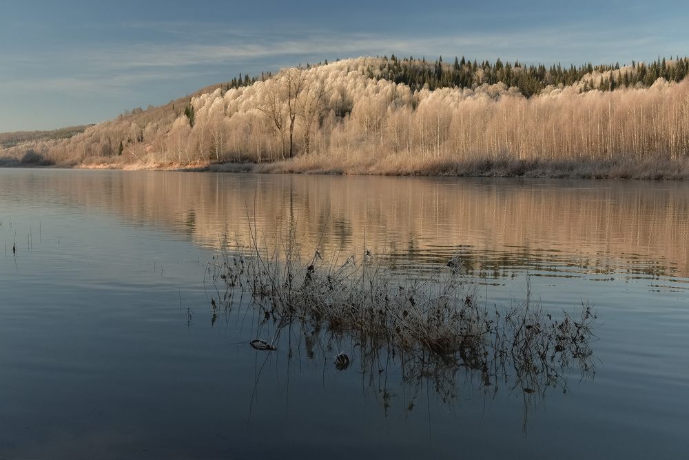 Поздняя осень у реки